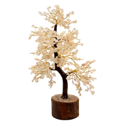 Assorted 500 Bead Tree Wooden Base